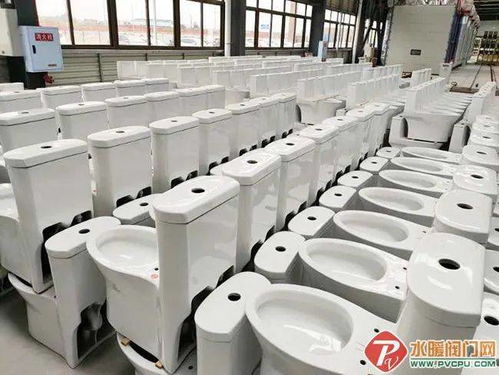 永川帝王潔具 “帝王速度”打造全國(guó)最大智能馬桶工廠，推動(dòng)配件產(chǎn)業(yè)升級(jí)